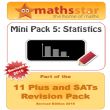 11 Plus & SATs Maths Topic Pack - Statistics